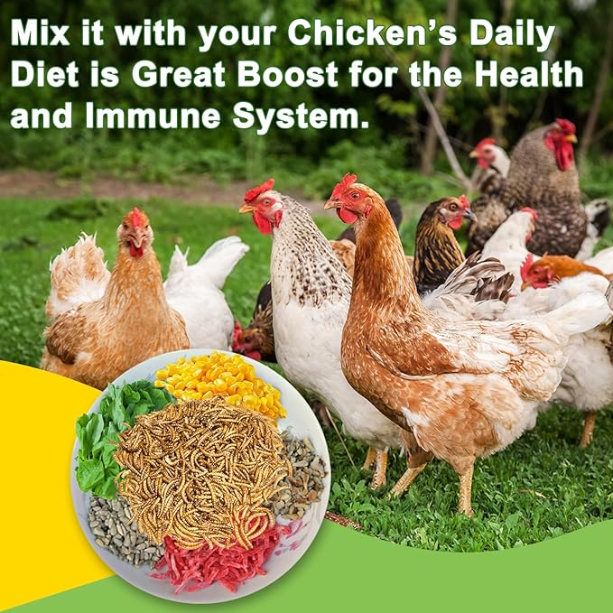 1LB Dried Mealworms Treat for Chicken, 100% Natural Non-GMO High Protein Organic Chicken Feed for Birds, Ducks, Layer Hens