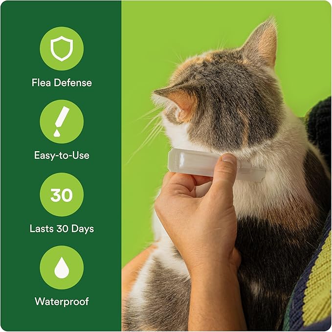 ADVECTA Flea Prevention for Large Cats Over 9 lbs (2 Doses) + CAPSTAR Flea Treatment for Cats 2-25 lbs (6 Doses) Bundle