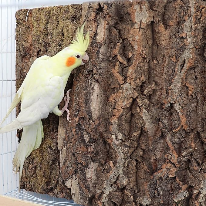 2 Pack 12 x 8 Inch 100% Natural Cork Perch, Bird Cork Seat Boards, Birdcage Bark Decor Accessories for Birds Parakeets Budgie Parrot Cockatiel Hamster Guinea Pig Rat