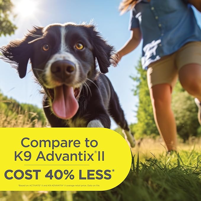 TevraPet Activate II Flea and Tick Prevention for Dogs | 4 Count | Medium Dogs 11-20 lbs | Topical Drops | 4 Months Flea Treatment