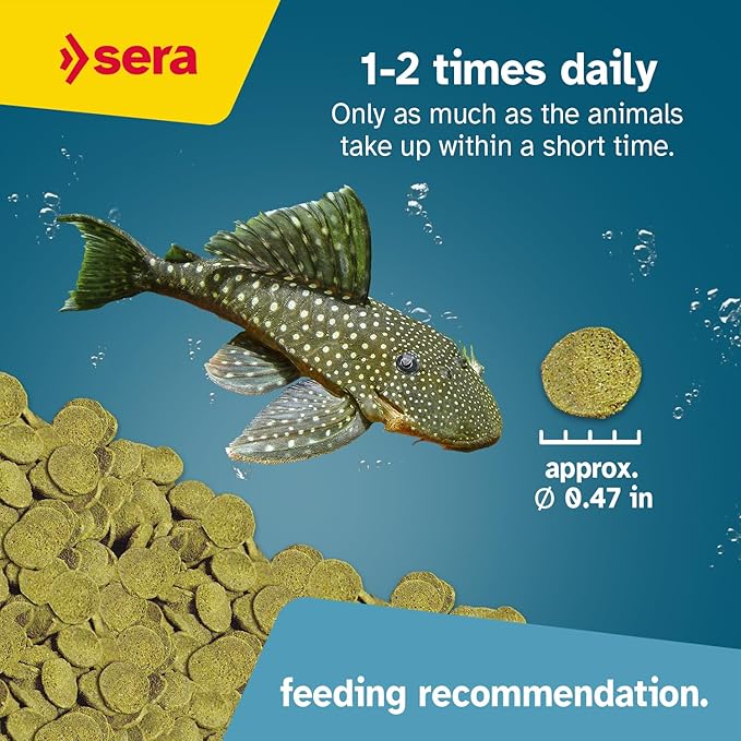 sera Catfish Chips Nature 3.4oz/0.21lbs | Premium Fish Food for Ancistrus & Plecos | High Fiber | No Dyes & Preservatives | Supports Digestion & Promotes Healthy Growth | Ideal for Bottom Feeders