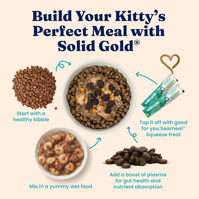Solid Gold Sensitive Stomach Dry Cat Food - Grain Free Gluten Free Sensitive Stomach Cat Food for Indoor Adult/Senior Cats - Dry Kibble for Cats w/Quail - Probiotics for Gut Health - 6lb