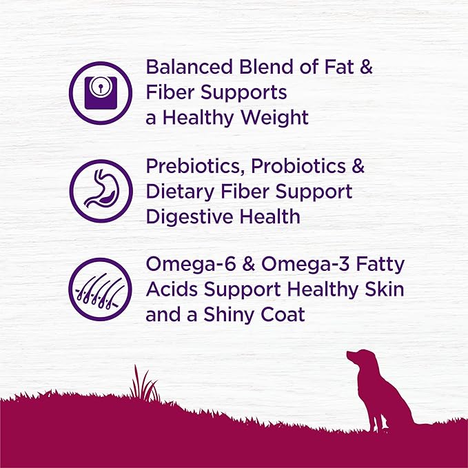 Wellness Complete Health Dry Dog Food, Small Breed, Wholesome Grains, Natural, Healthy Weight Turkey & Brown Rice Recipe, (12-Pound Bag)
