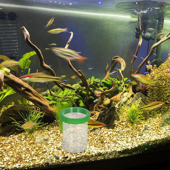 TOYANDONA Fish Breeding Isolation Box for Aquarium, Floating Guppy Egg Incubator with Green Compact Fry Hatchery Tank for Fish Tank Breeding and Hatching