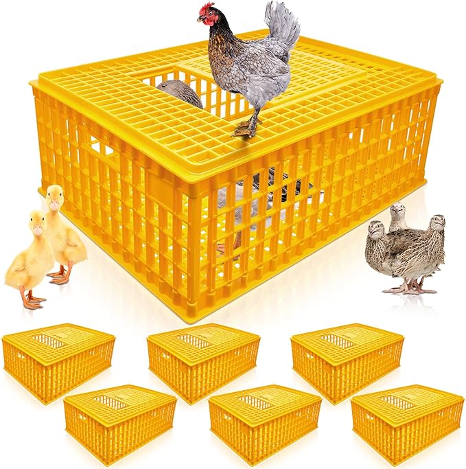 Sintuff Poultry Carrier Crate Plastic Chicken Transport Cage Bird Carriers Chickens Carrier Travel Crate Basket Box for Poultry Chicken Bird Duck Goose, 29.5 x 21.7 x 11.6 Inch(4 Pcs)