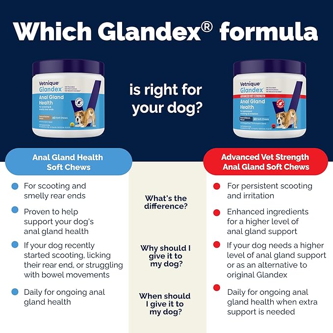 Vetnique Glandex Anal Gland Soft Chew Treats with Pumpkin for Dogs Digestive Enzymes, Probiotics Fiber Supplement for Dogs Boot The Scoot (Bacon Flavor Chews, 120 Count) (Pack of 2)