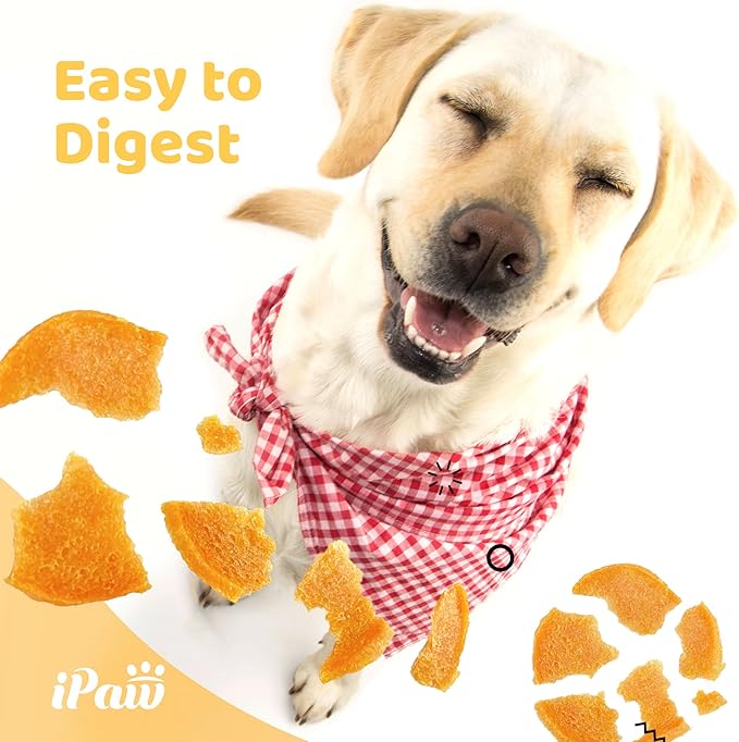 iPaw 2 Saver Combo Chicken Chips Dog Treats for Puppy Training, All Natural Human Grade Dog Treat, Hypoallergenic, Easy to Digest (Chicken Chips), 2 Packs