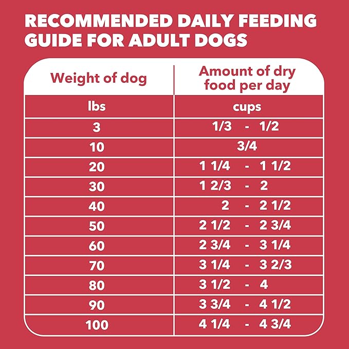 IAMS Proactive Health Minichunks Adult Dry Dog Food with Lamb & Rice, 15 lb. Bag