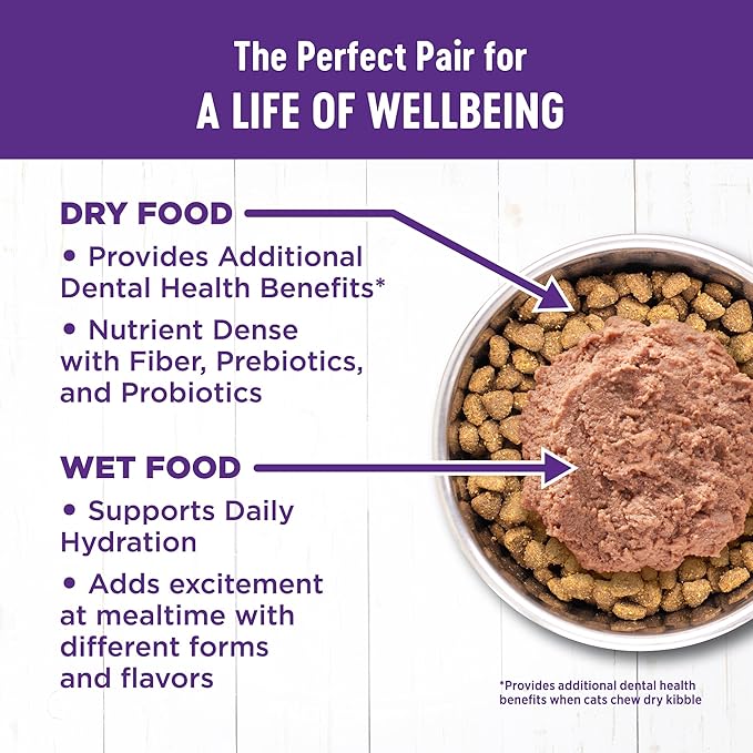 Wellness Complete Health Senior Dry Cat Food for Indoor and Outdoor Cats, Grain-Free, Natural, Age Advantage Chicken & Chicken Meal (5 Pound Bag)