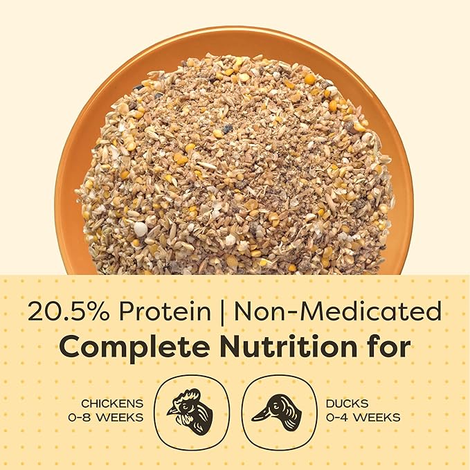 Scratch and Peck Feeds Whole Grain Starter Mash Chicken and Duck Feed - Corn-Free and Soy-Free - 20.5% Protein, Certified Organic and Non-GMO Project Verified Chicken Food - 50 lbs Bag