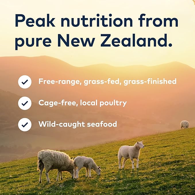 ZIWI Peak Beef Dry Dog Food Bundle- Steam & Dried Beef w/Pumpkin (28.8oz) + Air-Dried Beef (16oz)