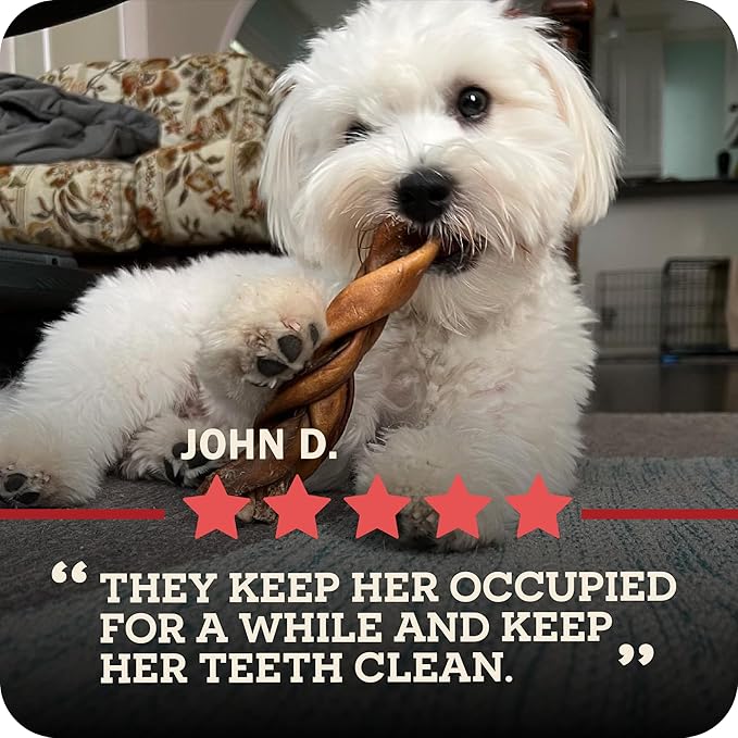 Redbarn Pet Products Natural Large Collagen Sticks for Dogs - Long Lasting Alternative to Traditional Rawhide & Bully - Supports Joint, Skin, & Coat Health - Case of 35