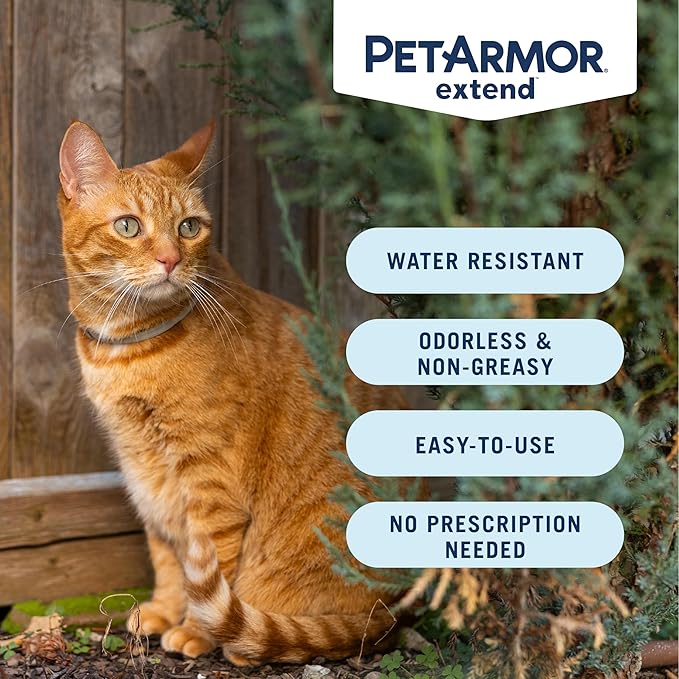 PetArmor Extend Flea & Tick Treatment & Prevention Collar for Cats, 8 Months of Protection, Waterproof, Kills Fleas, Ticks, and Flea Larvae, 1 Count