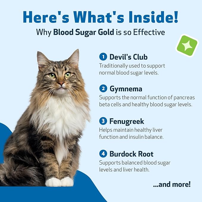 Pet Wellbeing Blood Sugar Gold Cats - Holistic Blood Sugar Support, Pancreas & Liver Health, Gymnema, Fenugreek & Devil’s Club - NASC Certified & Vet-Formulated - 4 oz Liquid