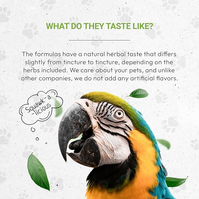 Birds Anxiety | Natural Herbal Dietary Pet Supplement for Birds | Support Stress Relief | Alcohol-Free Extract, Chamomile, Lemon Balm, Lavender, Linden, Fennel 2 oz