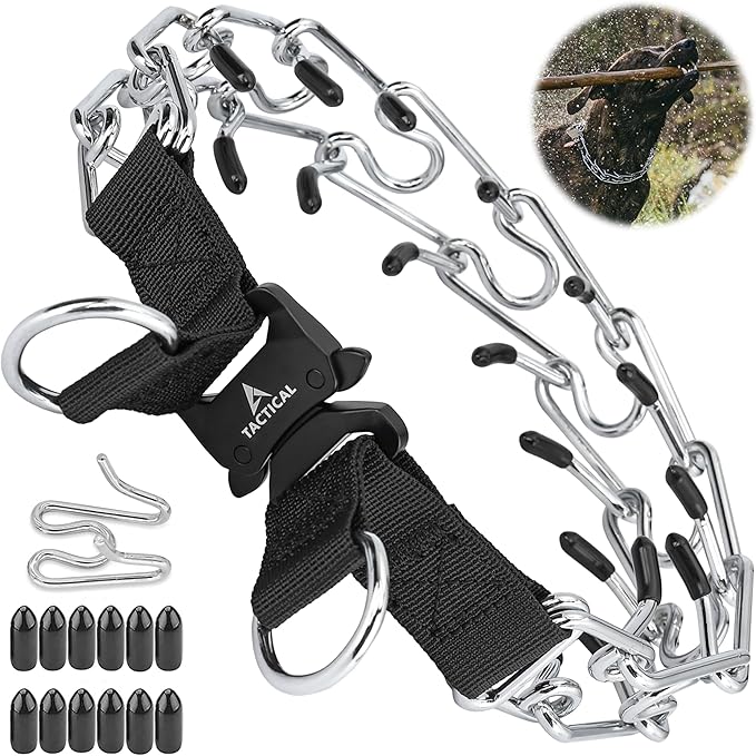 Quick Release Dog Training Collar Adjustable Stainless Steel Collar for Small Medium Large Dog (Black, S Neck Girth 11.2"-14.5")