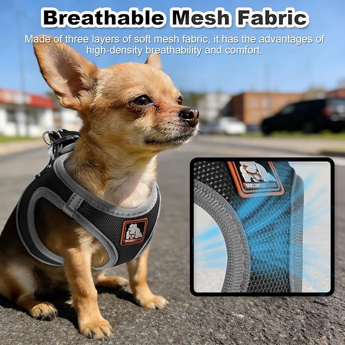 Dog Harness Medium Sized Dogs, Puppy Harness and Leash Set for Training, Running, Walking, Suitable for Small and Medium Dog Vest, Black, L
