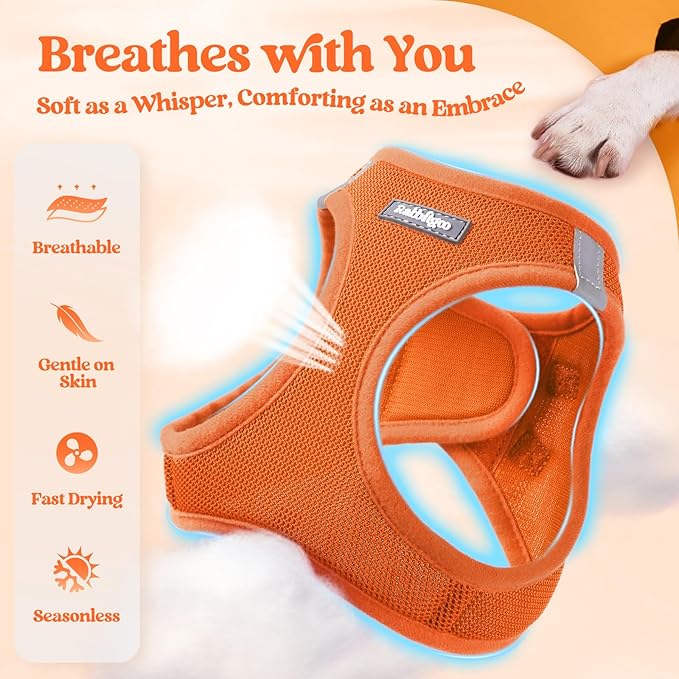 rabbitgoo Dog Harness Small Medium Sized and Leash Set, Step in Soft Light Puppy Vest, Breathable Mesh Pet Harness, Reflective for Safe Easy Walking, Orange L