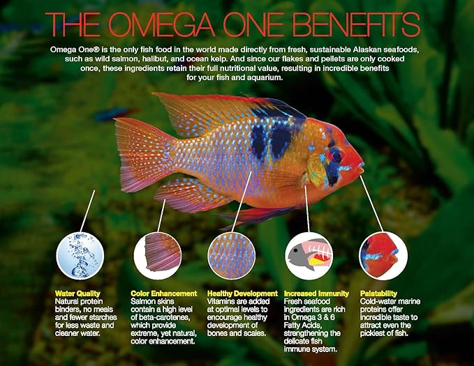 Omega One Cichlid Flakes, 12 Ounce (Pack of 1)