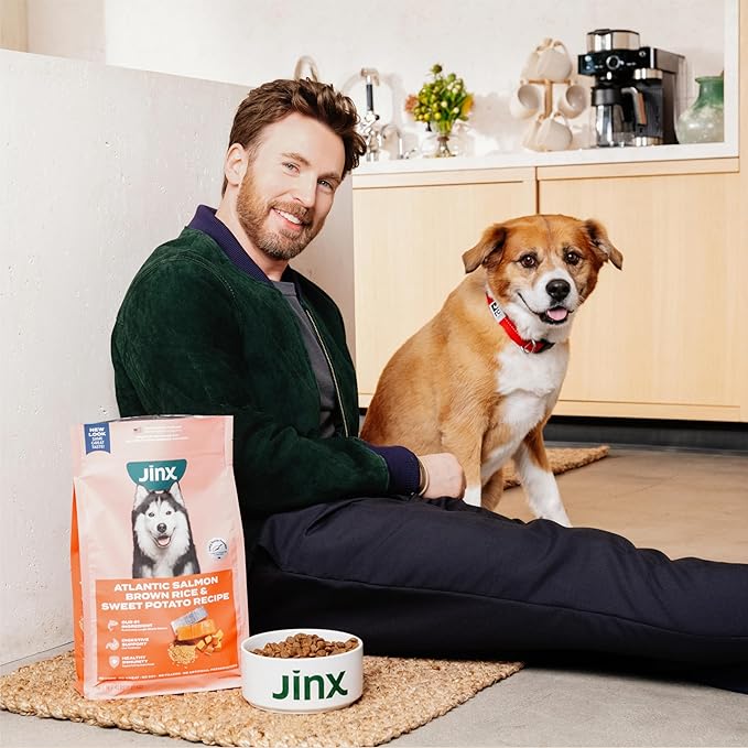 Jinx Premium Dry Dog Food, for All Lifestages - Real Beef, Brown Rice & Sweet Potato Kibble with Superfoods for Immune Support & Probiotics for Digestive Support - No Fillers - 4lb (Pack of 2)