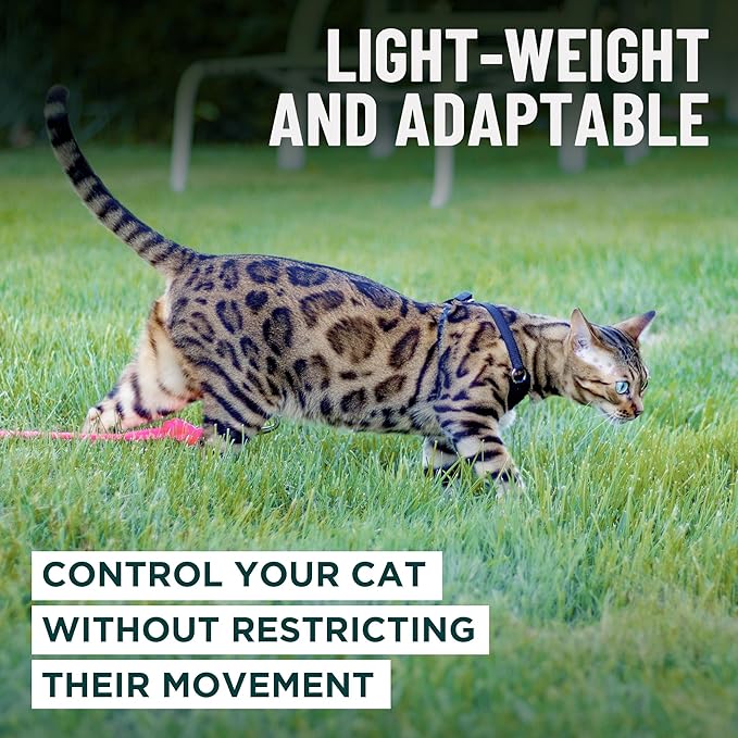 Houdini™ Escape Proof Cat Harness and Leash Set by OutdoorBengal – Turquoise, Medium Cat Harness for Walking