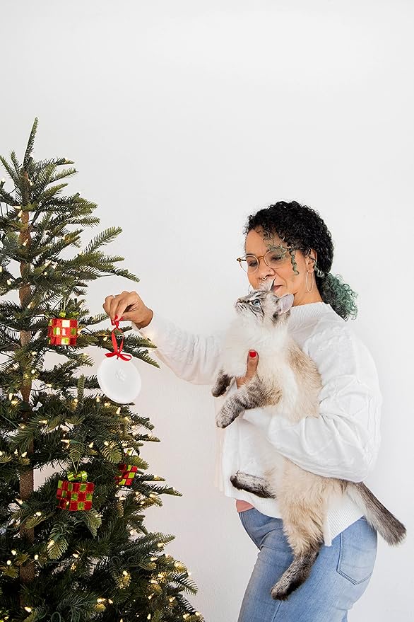 Pearhead Pawprints Christmas Ornament, DIY No Mess Pet Paw Print Holiday Keepsake Kit, Dog or Cat Stocking Stuffer Gift, for Pet Parents, Paw Print Ornament for The Holidays | (Pack of 12)