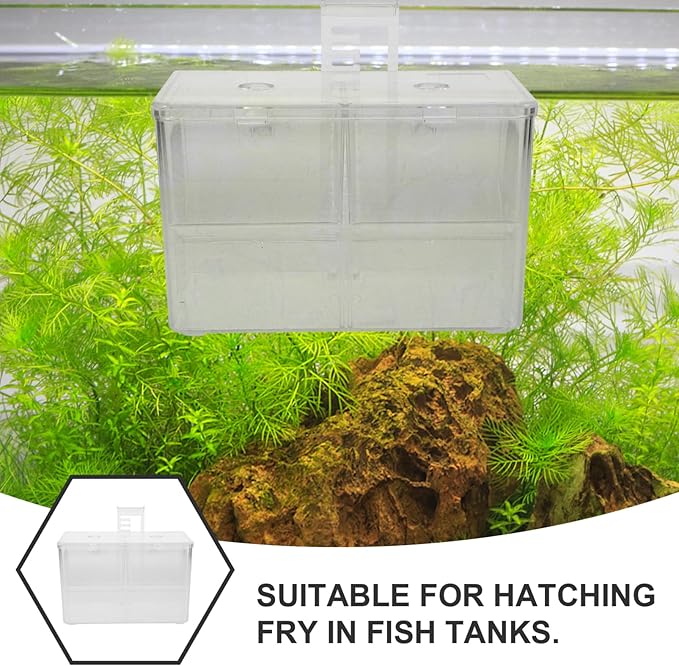 Fish Breeding Box Incubator for Shrimp and Tropical Fish Divider Hatchery Enhanced Survival Rates for Newborns Easy Observation and Installation