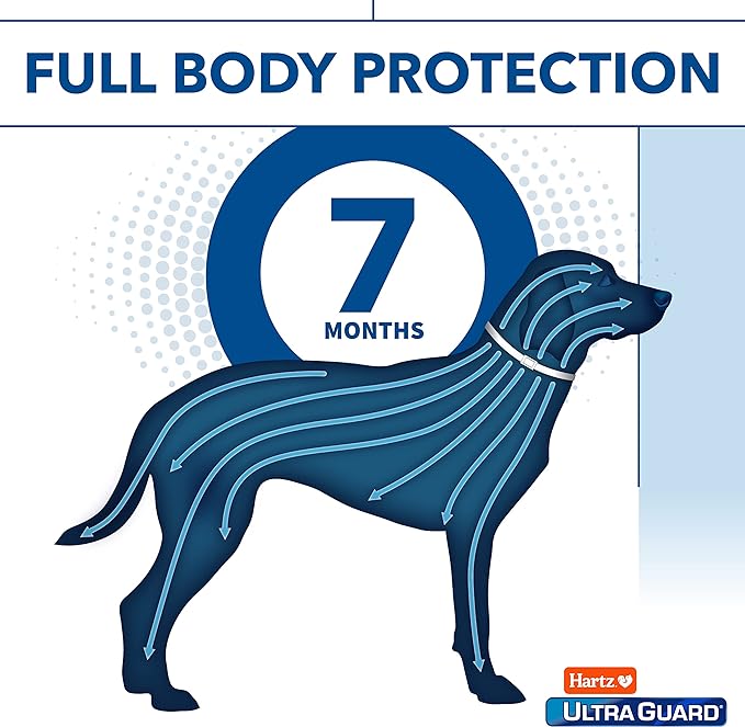 Hartz UltraGuard Flea & Tick Collar for Dogs and Puppies, 7 Month Flea and Tick Protection and Prevention Per Collar, White, Up to 20 Inch Neck