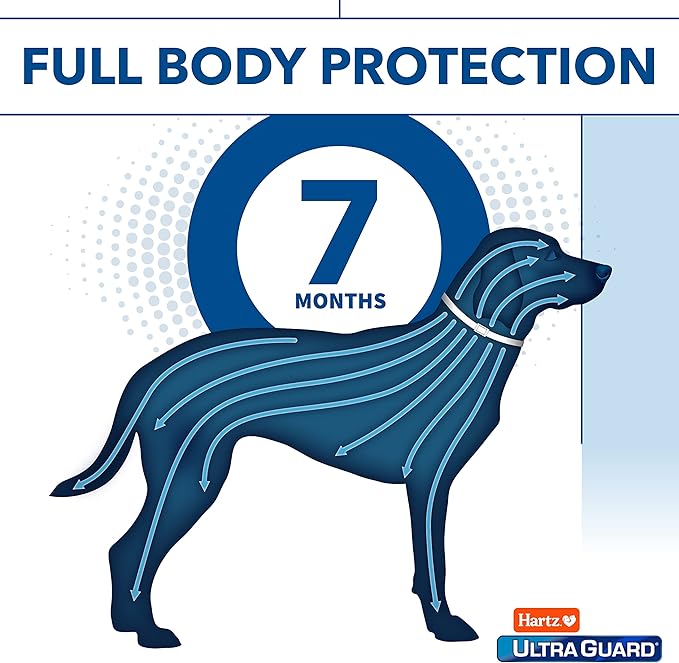 Hartz UltraGuard Flea & Tick Collar for Dogs and Puppies - 26" Neck, 7 Month Protection (Pack of 2)