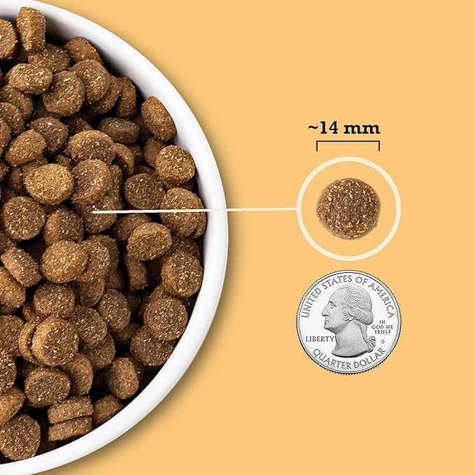 ACANA Wholesome Grains Dry Dog Food Free-Run Poultry & Grains Recipe with Cage-Free Eggs 22.5lb Bag