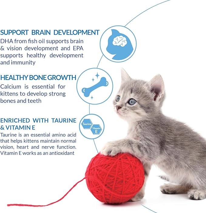 INABA Churu for Kittens, Grain-Free Creamy, Purée Lickable Cat Treats with DHA, EPA, Vitamin E & Taurine, 0.5 Ounces Each, 24 Tubes (4 per Pack), Chicken Recipe