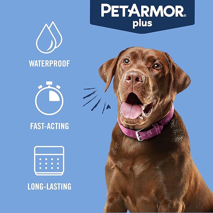 PetArmor Plus Flea and Tick Prevention for Dogs, Medium Dog Flea and Tick Treatment, 12 Doses, Waterproof Topical, Fast Acting (23-44 lbs)
