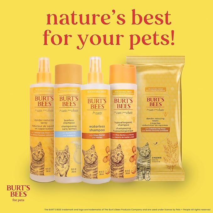 BURT'S BEES FOR PETS Waterless Cat Shampoo Spray, No-Rinse Cat Dry Shampoo with Shea Butter & Honey for Gentle Cleaning Between Baths, pH Balanced, No Harsh Detergents, 10 Fl Oz - 2 Pack