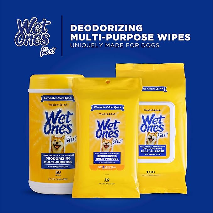 Wet Ones for Pets Deodorizing Multipurpose Dog Wipes with Baking Soda, Tropical Splash Scent - Desmellizing Wipes for Dogs in Canister, 50 Count - 12 Pack