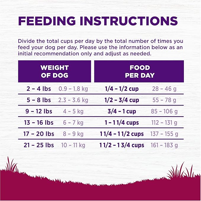 Wellness Complete Health Dry Dog Food, Small Breed, Wholesome Grains, Natural, Turkey & Oatmeal Recipe, (4-Pound Bag)