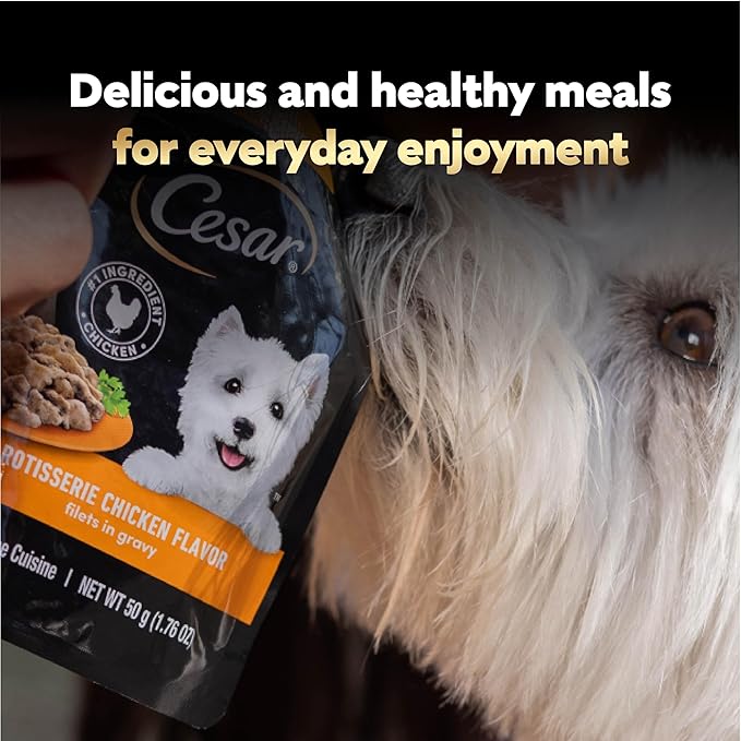 Cesar Filets in Gravy Wet Dog Food Filet Mignon Flavor and Rotisserie Chicken Flavor Variety Pack, Wet Food for Dogs, 1.76 oz. Mini-Pouches, 20 Count (Pack of 4)