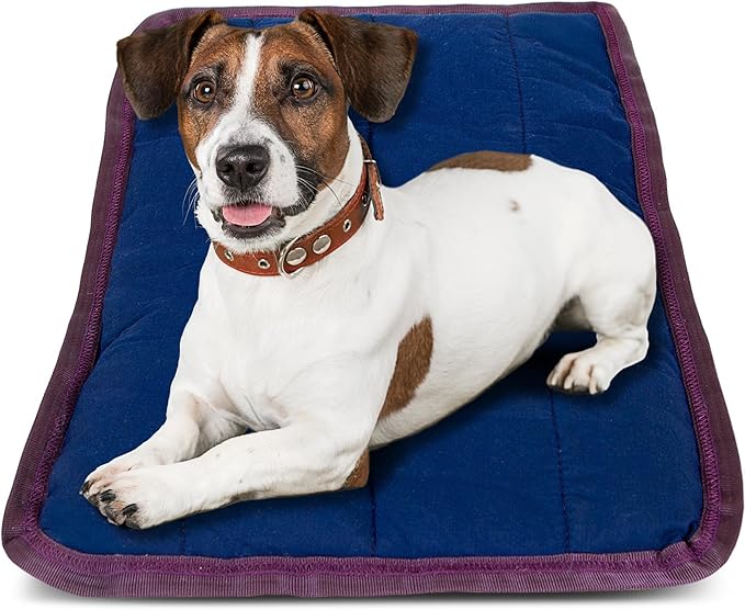 Jeffers Pet Comfort Dog Pillow, Tiny 12" x 18", Navy – Machine Washable Dog Bed for House, Sofa, Crate & Travel – Poly Cotton Shell, Winter Warmth, Soft, Comfy, Durable, Top Pet Bedding