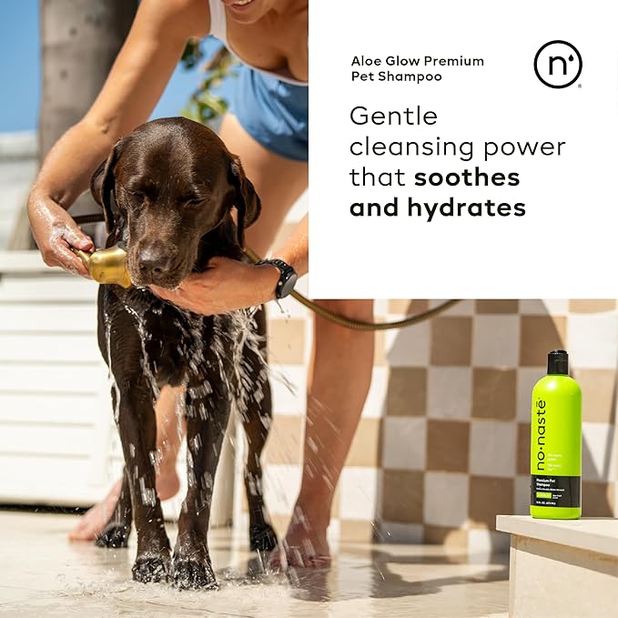 Nonaste Aloe Glow Premium Dog Shampoo (16 Oz, Pack of 2) – Deep-Clean & Odor-Neutralizing Dog Wash with USDA Certified Organic Aloe & Oatmeal | for Sensitive Skin, Soft Shiny Coat, Light Fresh Scent