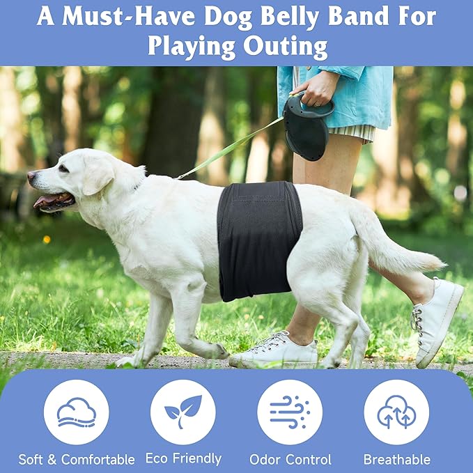 5 Pack Dog Diapers Male Reusable, Premium Belly Bands for Male Dogs, High Absorbing Dog Pee Wraps for Doggie in Incontinence or Excitable Urination and Training Gray XS
