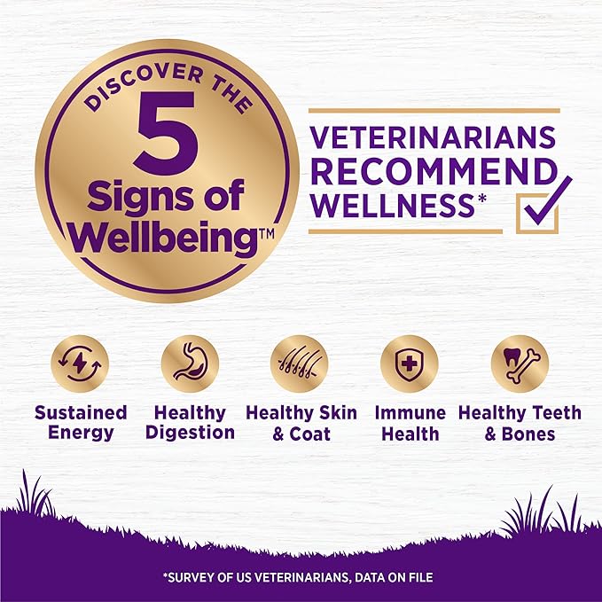 Wellness Complete Health Adult Dry Dog Food, Wholesome Grain Kibble, Natural, Beef and Barley Recipe, 26 lb Bag