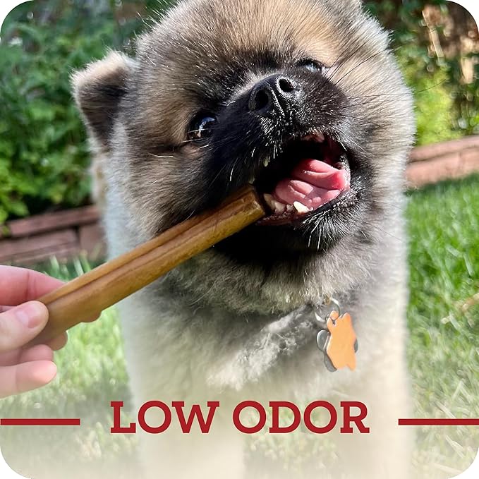 Redbarn Pet Products Natural Large Collagen Sticks for Dogs - Long Lasting Alternative to Traditional Rawhide & Bully - Supports Joint, Skin, & Coat Health - Case of 35