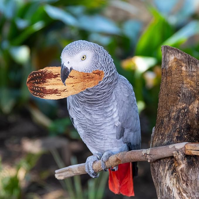 4pcs Natural Bird Chewing for Parakeets Cockatiels Small Birds Safe Biting Fun Pet Shredding Accessories to Prevent Furniture Damage and Encourage Healthy Beak Activity