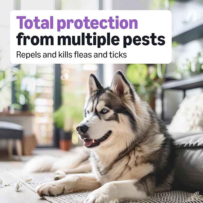 Amazon Basics Preventative Flea and Tick Topical Treatment for Dogs, Large (45-88 lbs), Fast Acting and Long Lasting, 6 Counts, Packaging May Vary