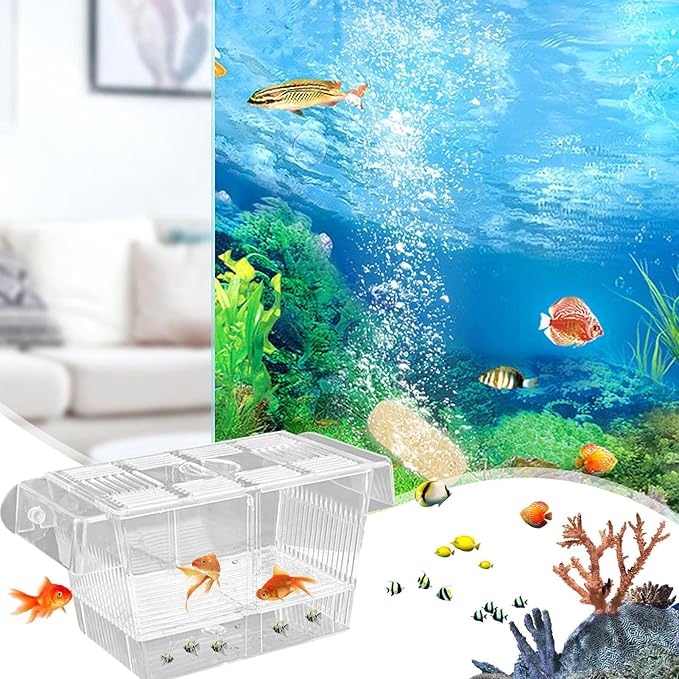 1/2 Fish Breeding Box - Aquarium Breeder Box, Fish Acclimation Box with 2 Suction Cups | Easily Install Fish Isolation Box, Acrylic Aquarium Hatchery Incubator for Baby Fishes Shrimp Betta Guppy
