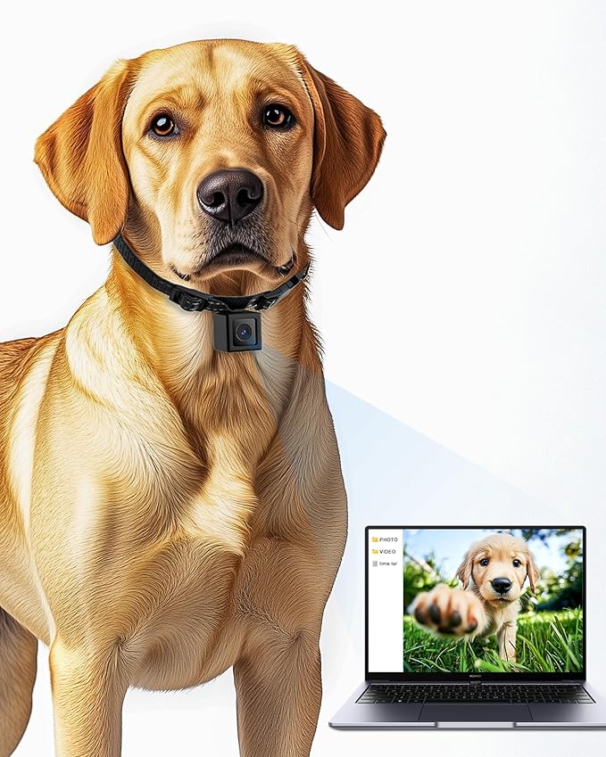 Cat/Dog Camera Collar, 1080P Video Recording Cameras for Pets,M-Size,No App,No Wi-Fi, Medium-Size Dog Collar Camera, Pet POV Cam(No Micro-SD Card Included)
