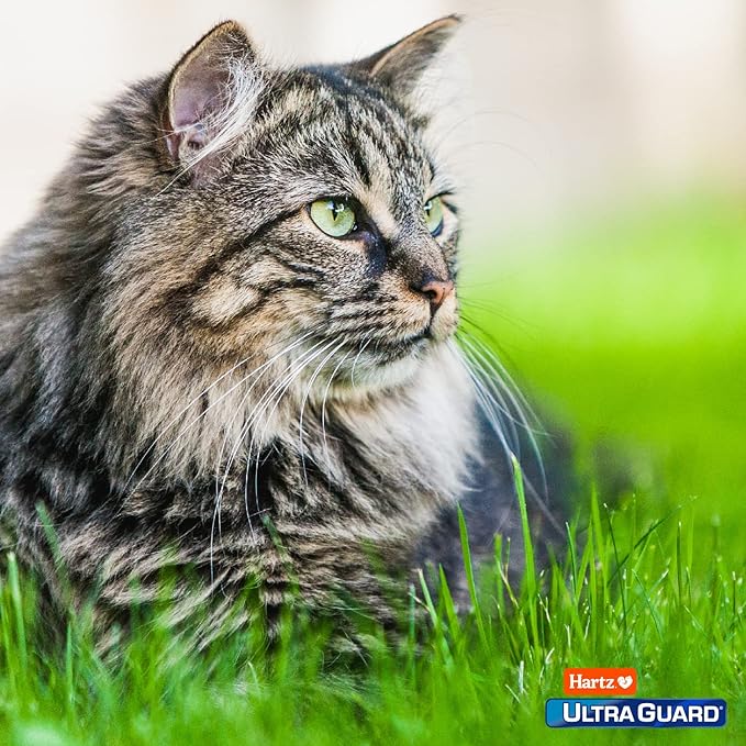 Hartz UltraGuard Plus Cat Flea & Tick Spray, 8 oz