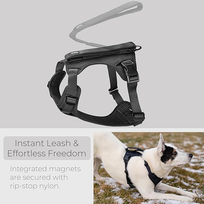 TUG Grab Dog Harness | Integrated Traffic Leash Magnetically Attached for Quick Control (Large/Black)