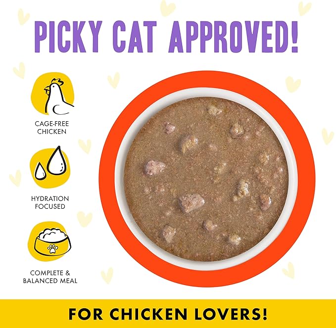 Weruva B.F.F. OMG - Best Feline Friend Oh My Gravy!, Chicken & Salmon Stir It Up with Chicken & Salmon in Gravy, 2.8oz Can (Pack of 12)