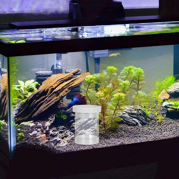 BESPORTBLE Fish Breeding Box Floating Incubation Chamber White Small Aquarium Isolation Box for Guppy Egg Hatching and Fry Breeding