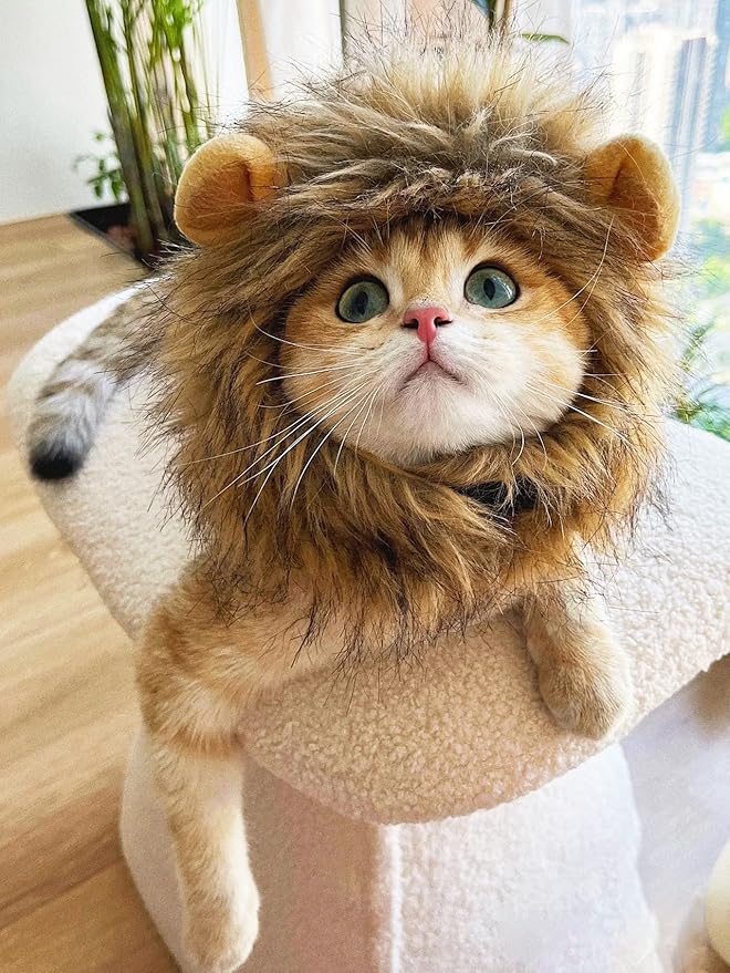 Lion Mane Wig for Cat, Funny Pet Cat & Puppy Costumes for Halloween & Christmas, Funny Pet Clothing Accessories (Small, Dark Brown)